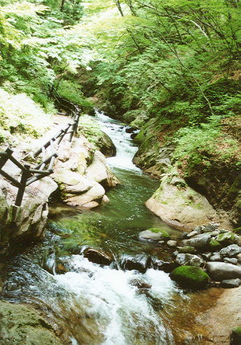 �����k�J