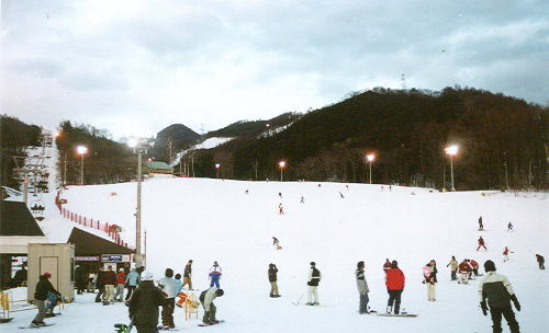 �T�G�����C���Q�����f