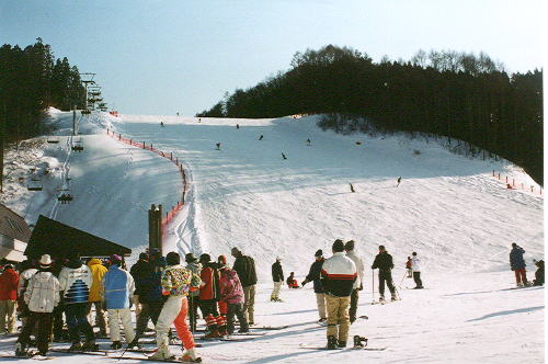 �T�G���̃Q�����f