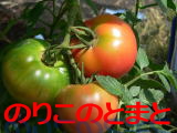 トマトの販売