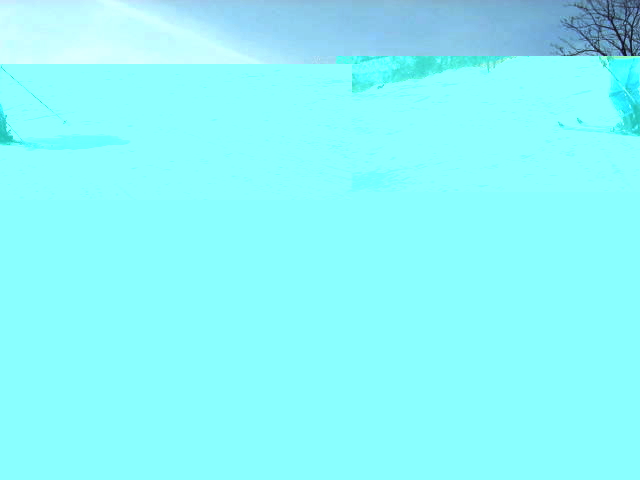 ��ƃX�L�[�ꂩ��̕����R